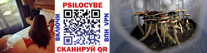 kraken как зайти  где можно купить   Советский  Галлюциногенные грибы Psilocybine cubensis 