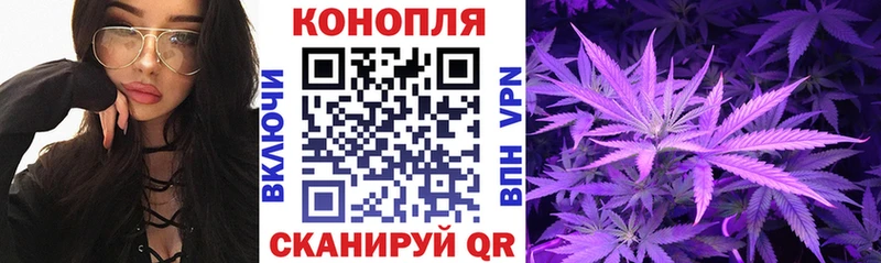 Конопля индика  Советский 